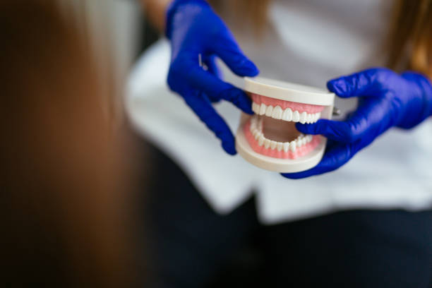 Reliable Rossville, IN  Holistic Dental Services Solutions